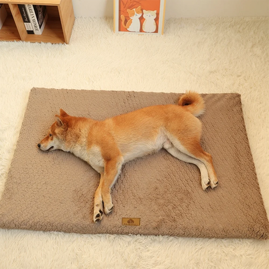 3D Foam Bed (Removable Washable), Waterproof Dog Bed, Anti-Slip Bottom Dog Bed