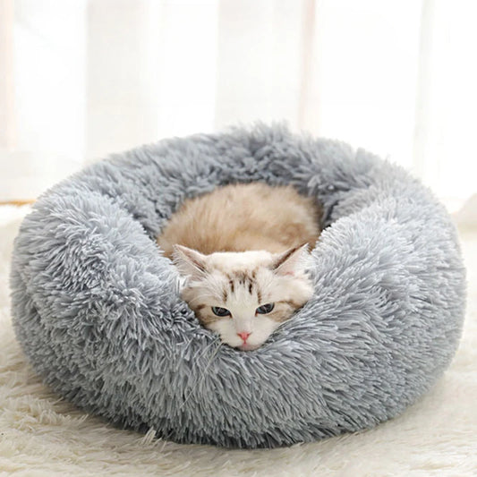 Cat Nest
