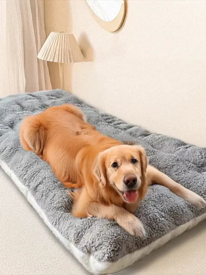 Thickened Multi-Size Dog Bed