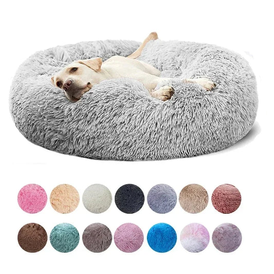 Super Soft Beds for Cats & Dogs