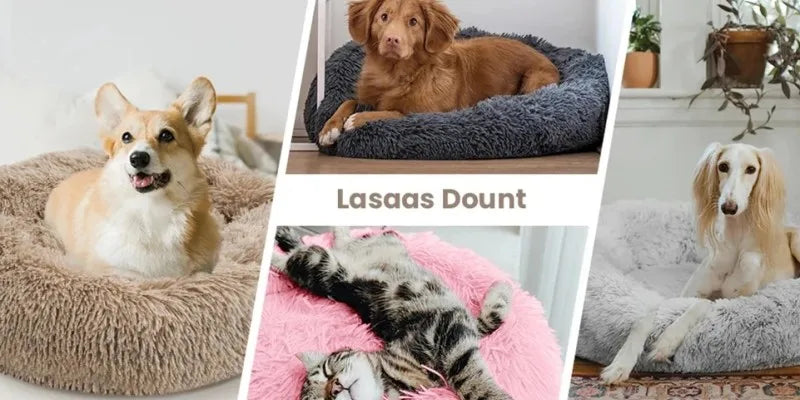 Super Soft Beds for Cats & Dogs